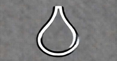 Wacoal Shape Revelation Pendulous