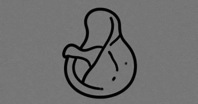 What Are Embryological Structures