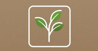 What Does Photosynthesis Produce