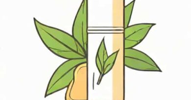 What Is A Natural Antiperspirant