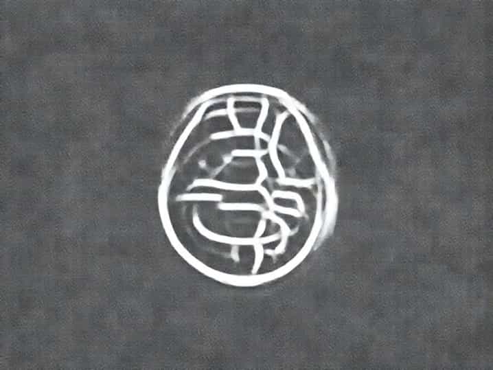 What Is Embryological Structures