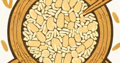 What Is Glutinous Rice In Tagalog