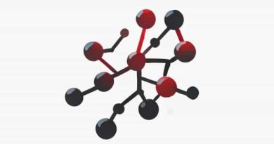 What Is The Function Of An Enzyme