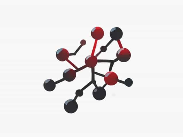 What Is The Function Of An Enzyme