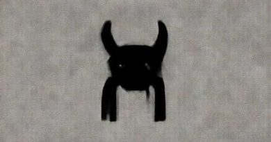 What Is The Meaning Of Captivity