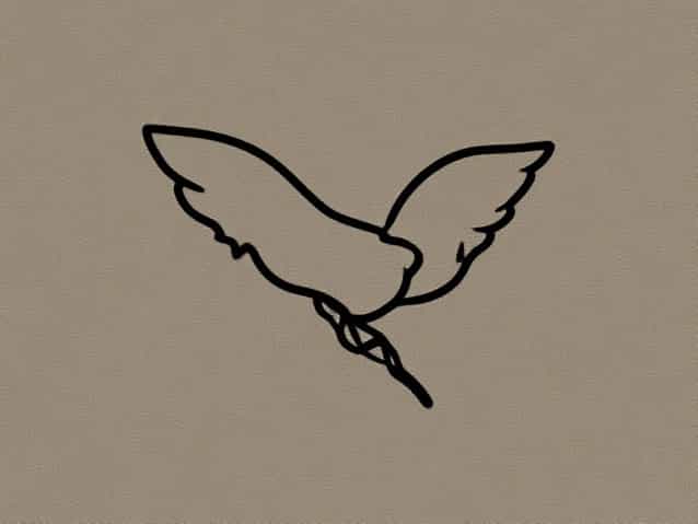 What Is The Meaning Of Cassiopeia