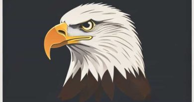 What Is The Size Of A Bald Eagle