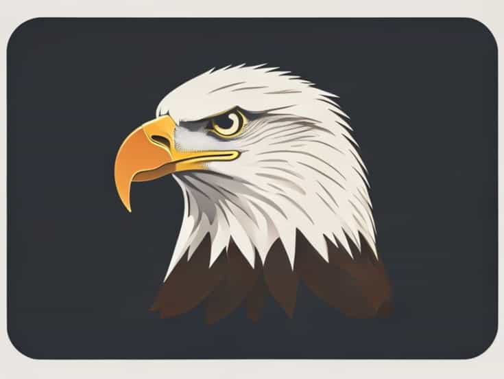 What Is The Size Of A Bald Eagle