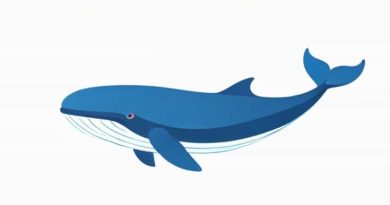 What Is The Size Of A Blue Whale