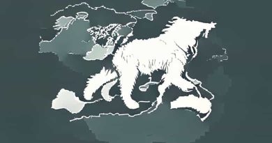 Where Is Newfoundland On The Map