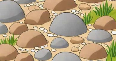 Where To Get Stones For A Rockery
