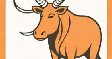 Zoo Heavyweight With A Large Horn