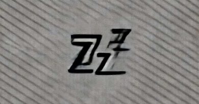 Zzz Affinity Solid Companionship