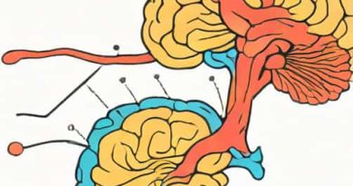 Damage To Bilateral Cerebral Cortices