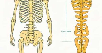 Difference Between Spinal And Epidural