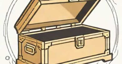 Divergent Universe Casket Of Inaccuracy