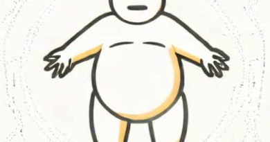 Form Adipose Tissue And Provide Energy