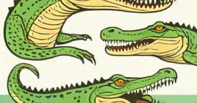 Gharial Mugger And Saltwater Crocodile