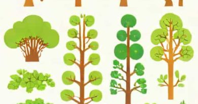 Gymnosperms Lack Vessels In Their Xylem