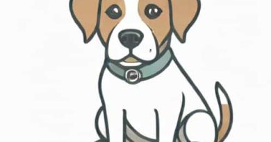 How Do I Immobilize My Dog For Grooming