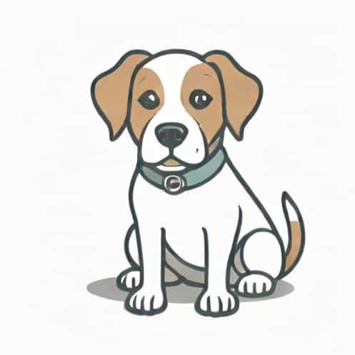 How Do I Immobilize My Dog For Grooming