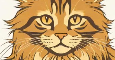 How Much Are Maine Coon Kittens Near Me