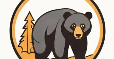 How To Get Rid Of Nuisance Black Bears