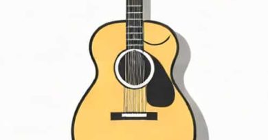 How To Humidify A Guitar Without A Case