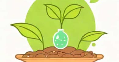 Importance Of Oxygen During Germination