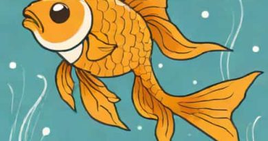 Jennifer L Holm The Fourteenth Goldfish
