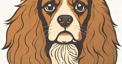 King Charles Cavalier Spaniel Lifespan