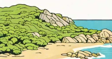 Little Waterloo Bay Wilsons Promontory