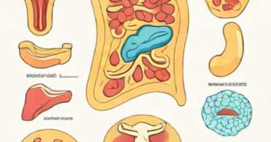 Mucous Serous And Synovial Are Types Of
