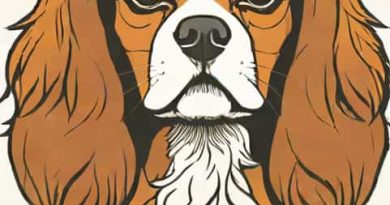 Names For Cavalier King Charles Spaniel