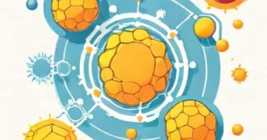 Organelle Involved In Lipid Synthesis
