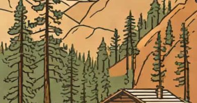 Places To Stay In Sequoia National Park