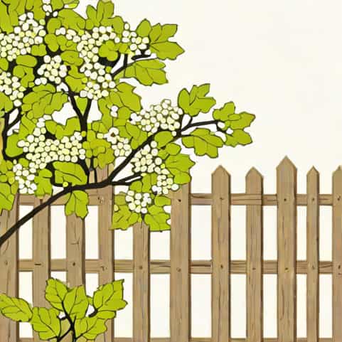 Quick Fence Tm Viburnum Odoratissimum