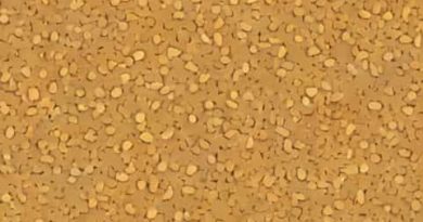 Quikrete Commercial Grade Coarse Sand