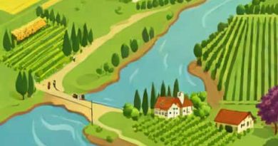 River Alongside Many German Vineyards