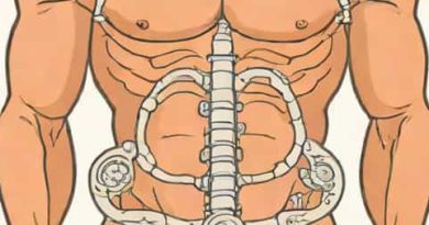 Sling Mechanism Of Gastric Musculature