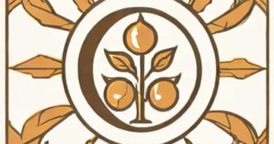 The Radical Is Aromatic Because It Has