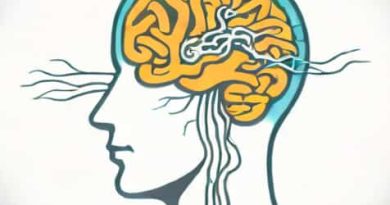The Vagus Nerve Does Not Innervate The