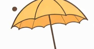 Umbrella Is Transparent Or Translucent