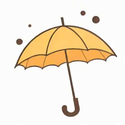 Umbrella Is Transparent Or Translucent