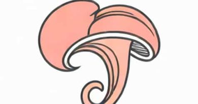 Uterine Lining Shedding Without Blood