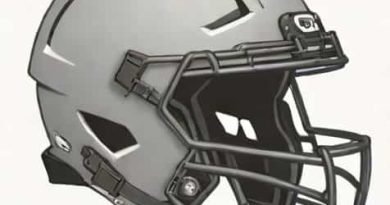 Vicis Helmet With Speedflex Chinstrap