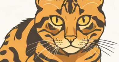 What Breed Is My Tortoiseshell Cat Quiz