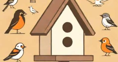 What Direction Should A Birdhouse Face