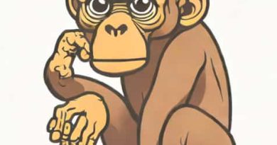 What Do You Know About Australopithecus