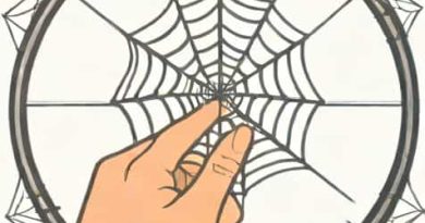 What Does A Spiderweb On The Elbow Mean